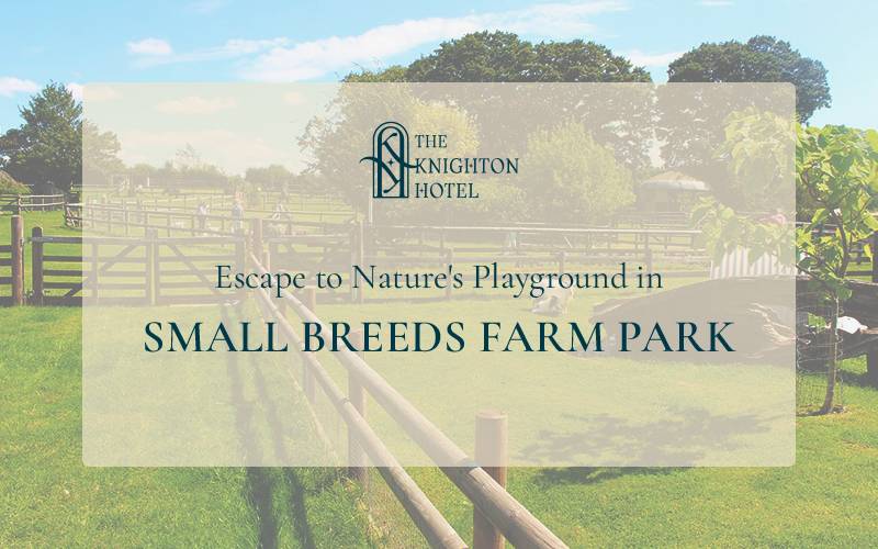 Escape to Nature's Playground in Small Breeds Farm Park