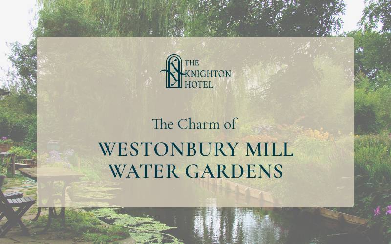 Westonbury Mill Water Gardens: A Tranquil Escape