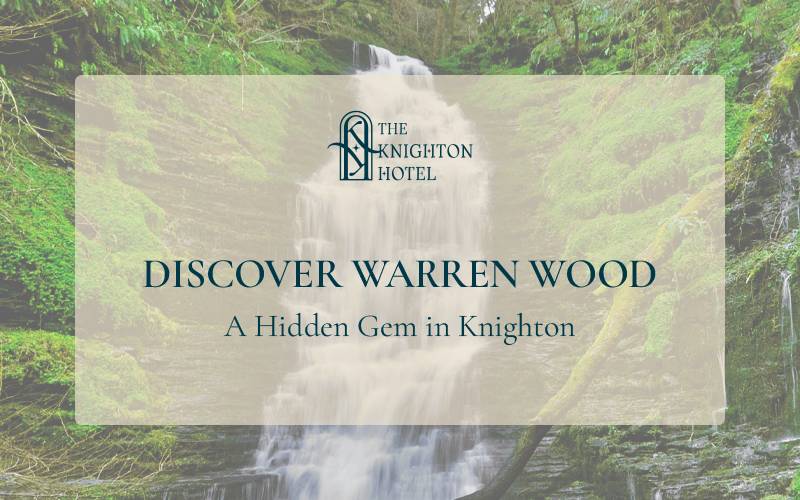 Discover Warren Wood: A Hidden Gem in Knighton