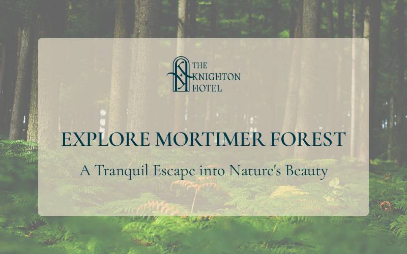 Explore Mortimer Forest: Hike, Relax & Enjoy Nature's Beauty