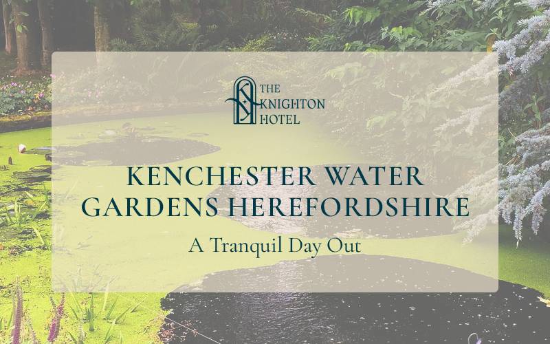 Kenchester Water Gardens Herefordshire: A Tranquil Day Out