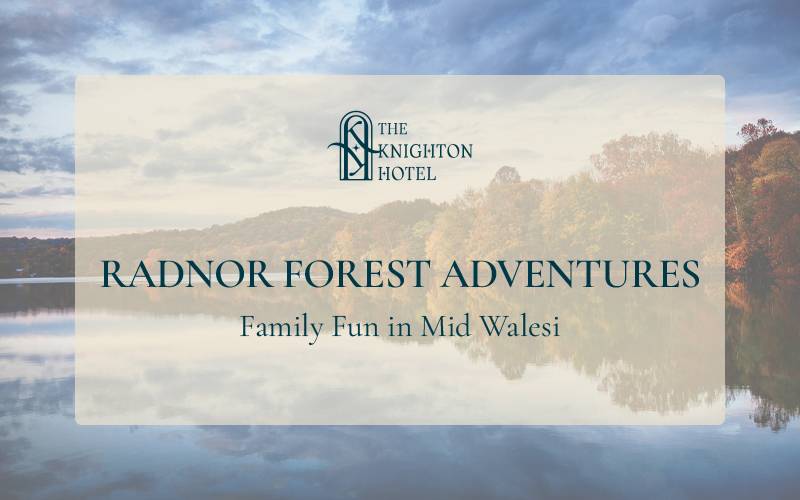 Radnor Forest Adventures: Family Fun in Mid Wales