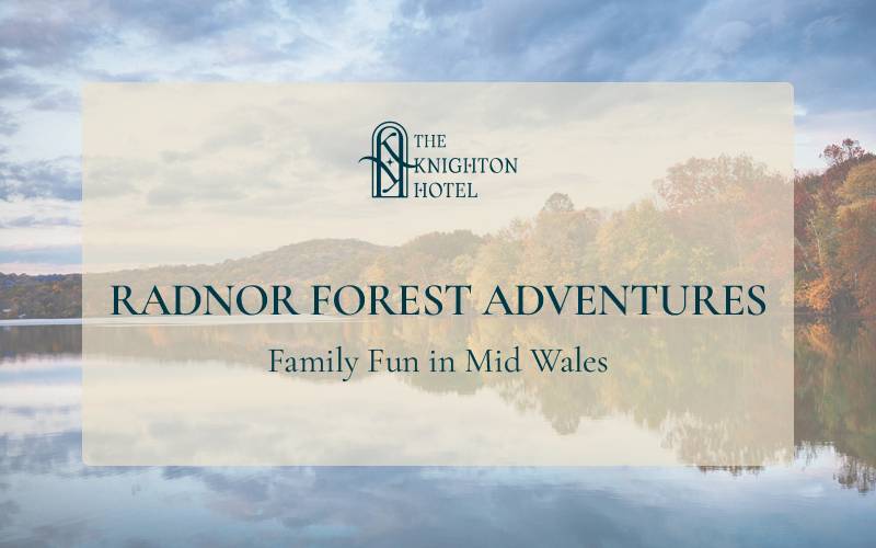 Radnor Forest Adventures: Family Fun in Mid Wales